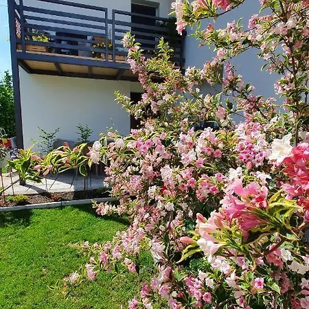 Apartamento Luxor 2 *